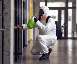 Reliable Everett, PA Mold Remediation Solutions